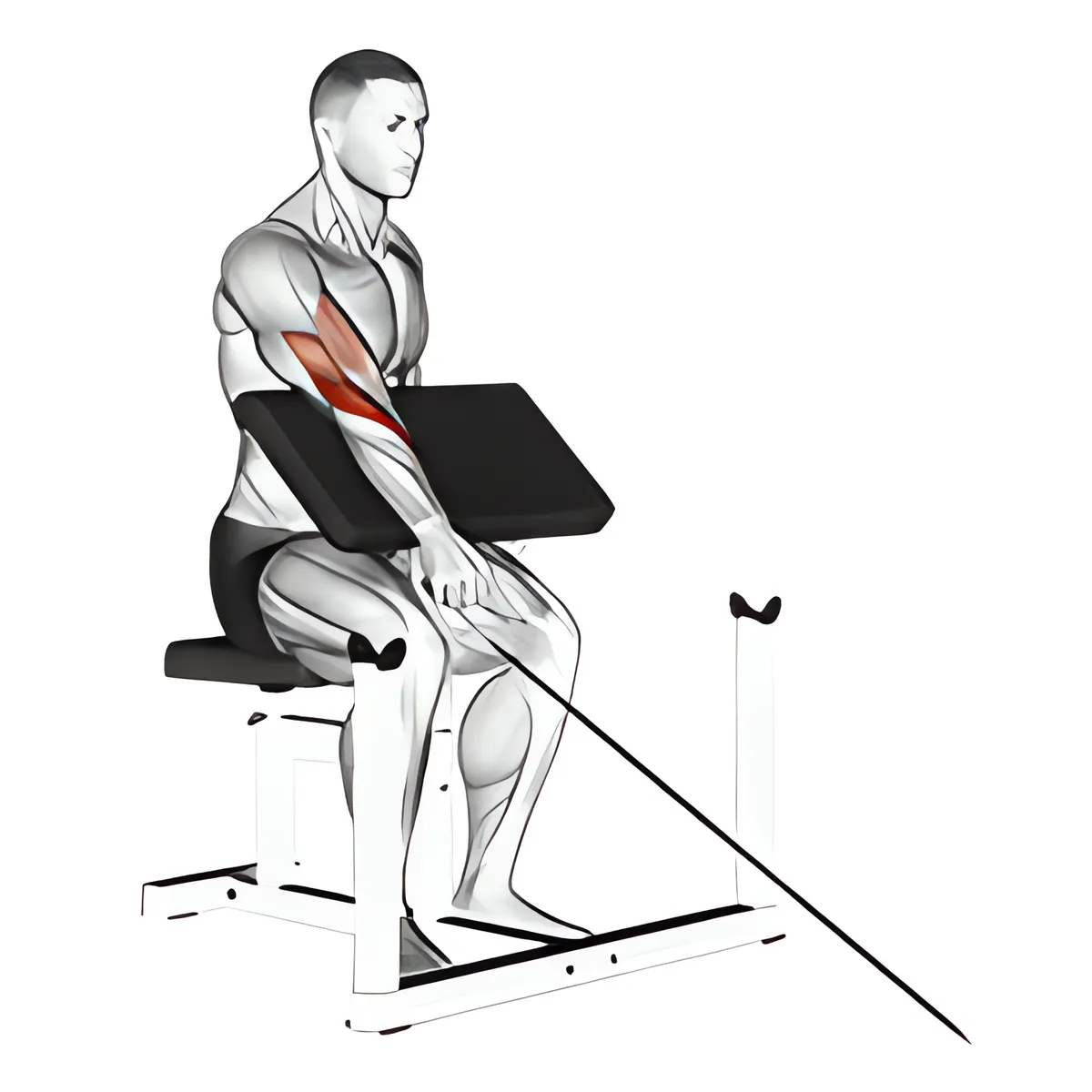 Cáp một tay ngược cuốn tay trước ghế Scott