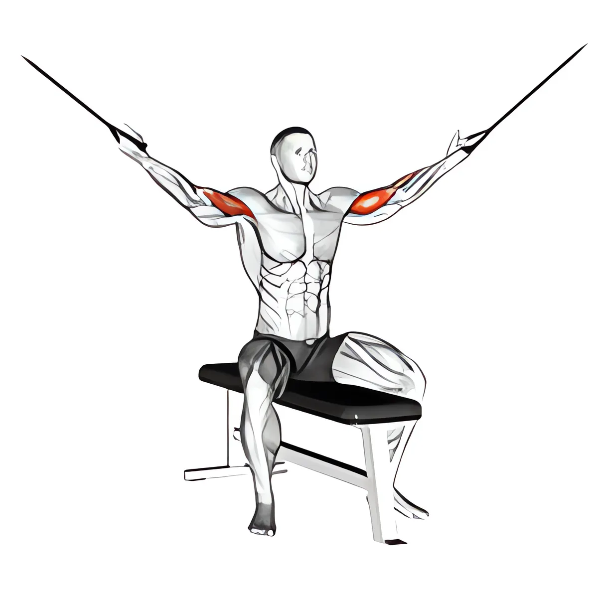 Cáp ngồi qua đầu cuốn tạ