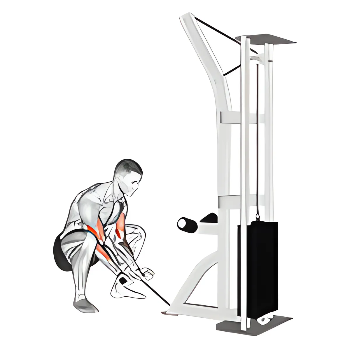 Squat kết hợp cuốn cáp