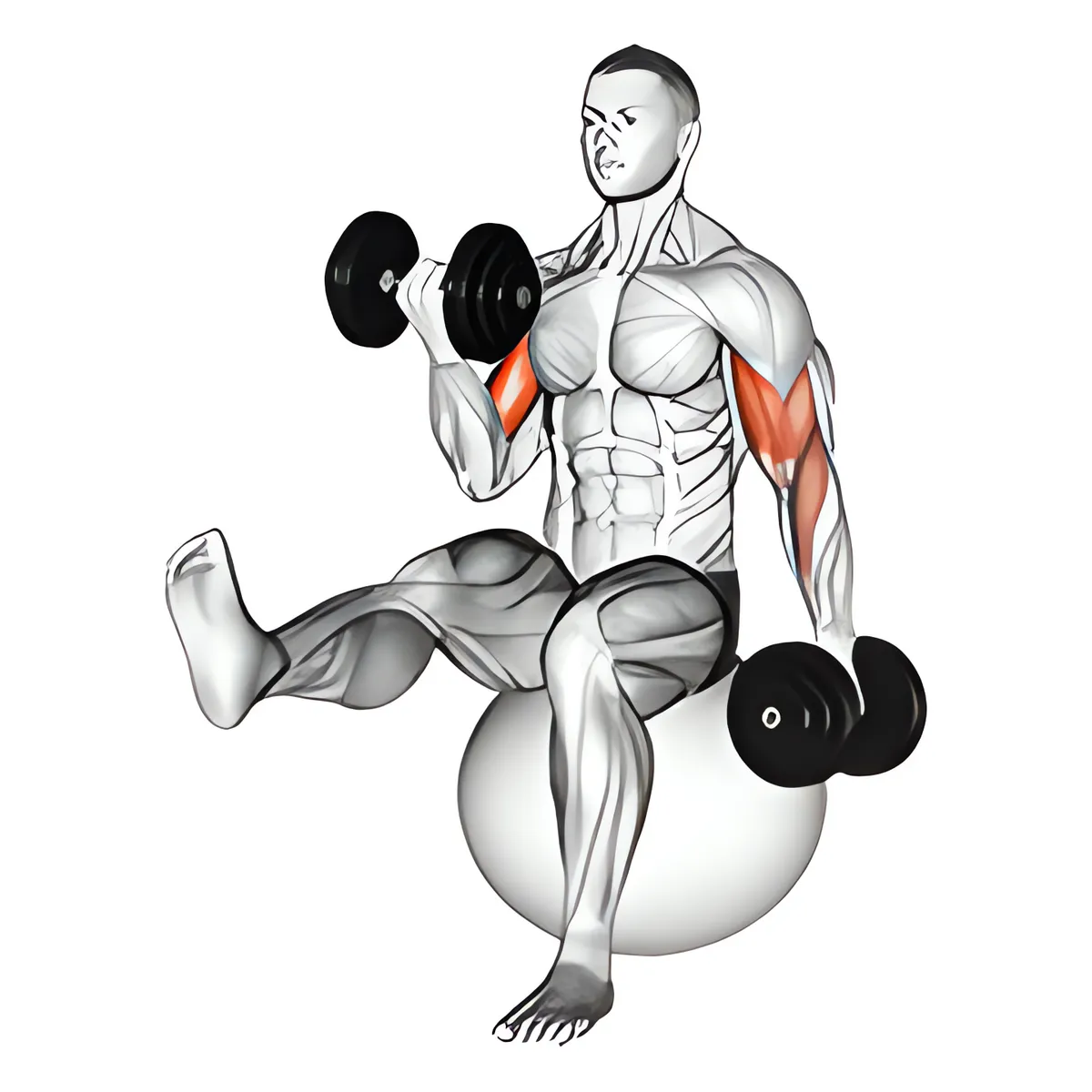 Luân phiên cuốn tạ đơn tay trước với một chân nâng trên bóng tập