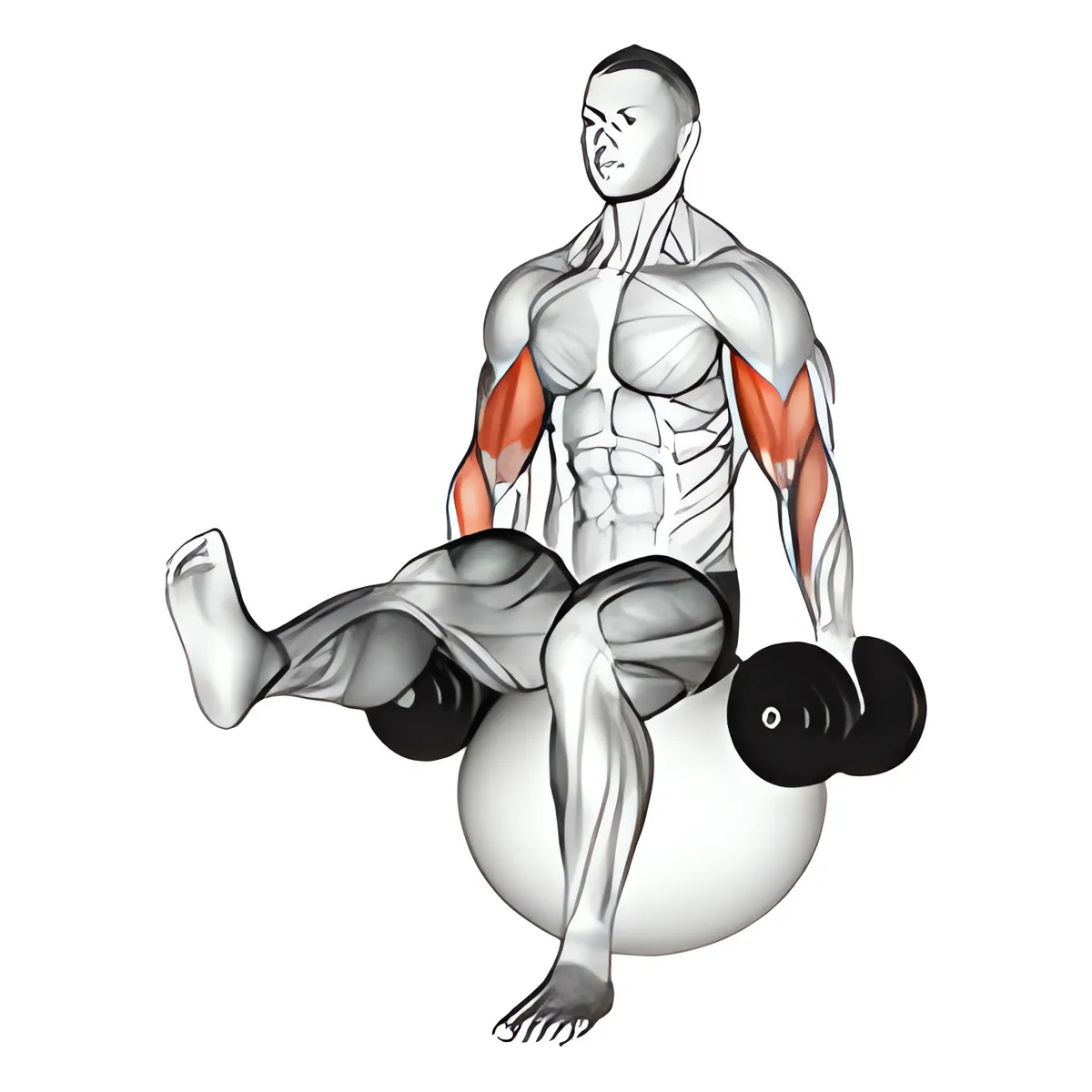 Cuốn tạ đơn tay trước trên bóng tập với một chân nâng