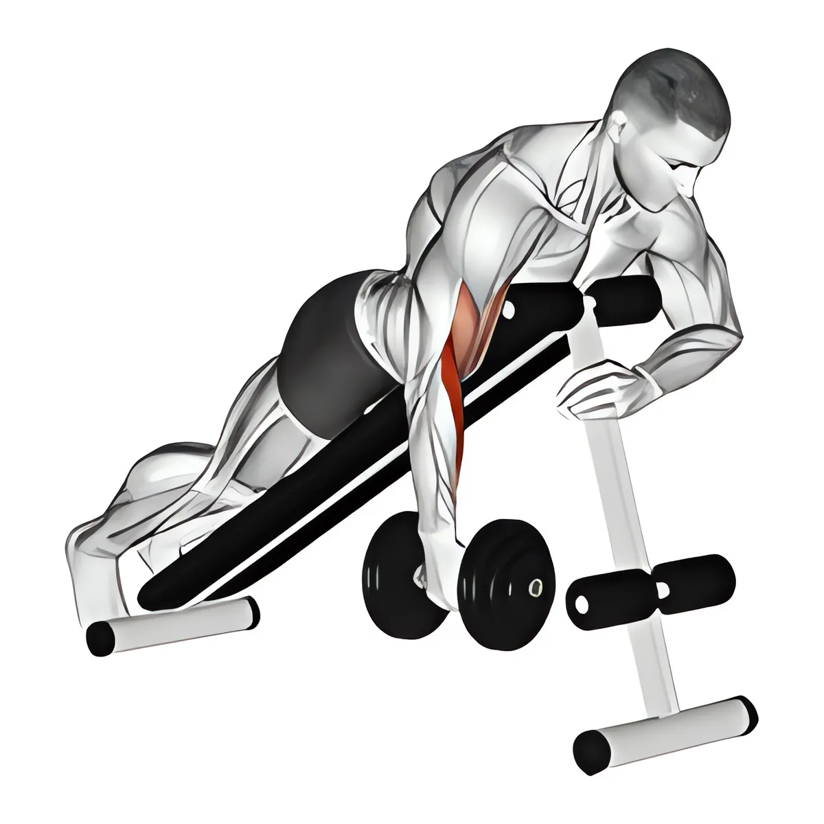 Tạ đơn một tay nằm sấp cuốn búa