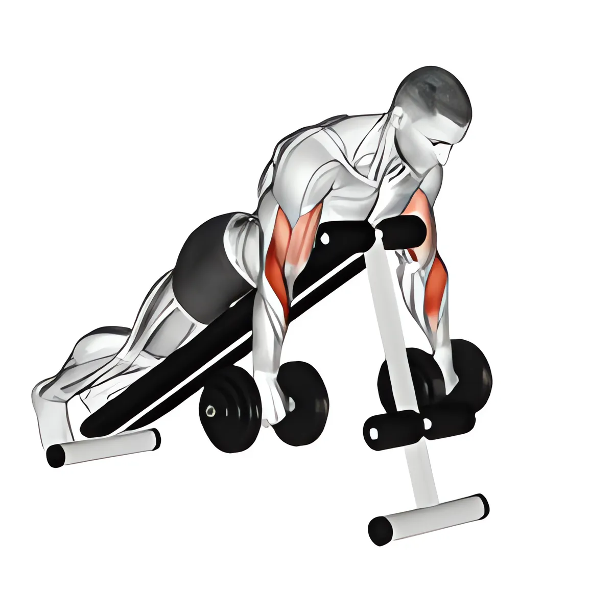 Cuốn tay trước ngược úp ngực trên ghế dốc với tạ đơn