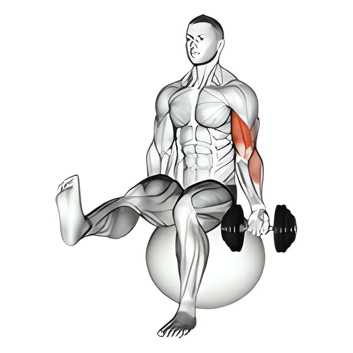 Ngồi trên bóng tập, nâng một chân và cuốn tạ đơn một tay