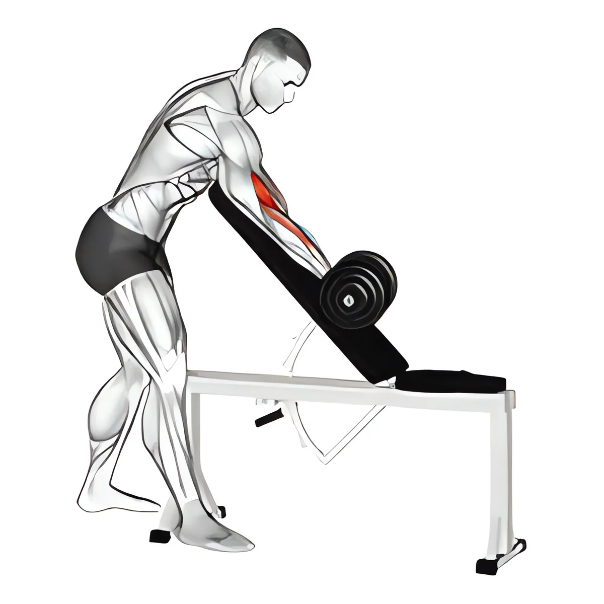 Đứng cuốn tạ đơn một tay trên ghế dốc, biến thể 2