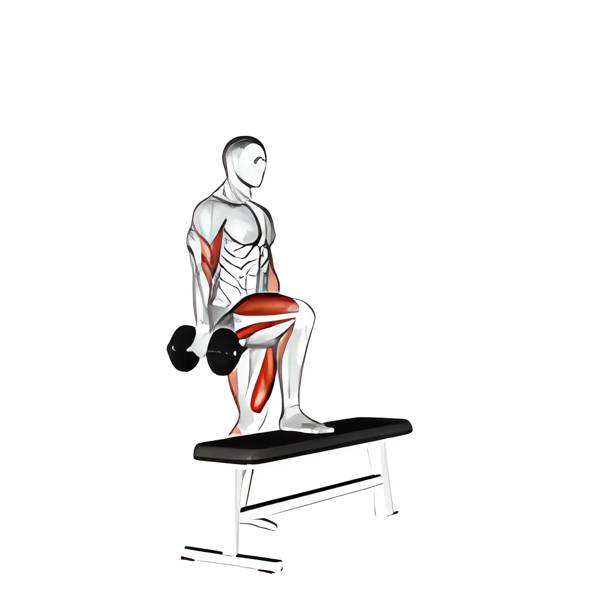 Tạ đơn bước lên bục một chân giữ thăng bằng với tay trước cuốn tạ