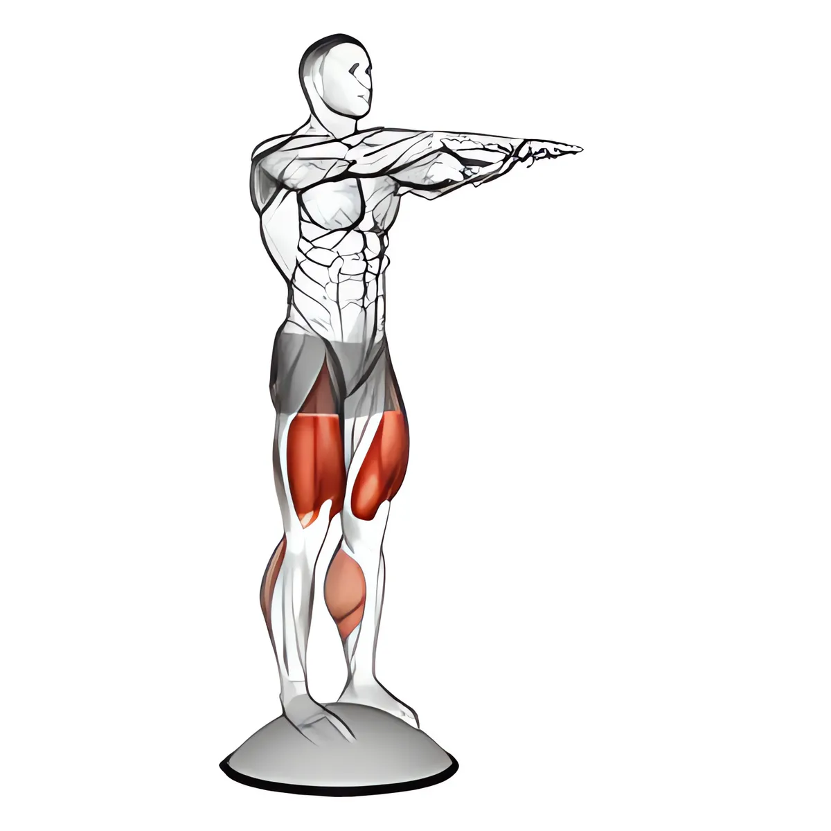 Squat trên bóng Bosu