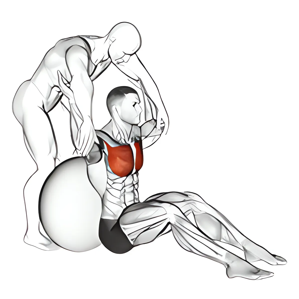 Ngồi kéo giãn cơ ngực lớn với bóng, có hỗ trợ