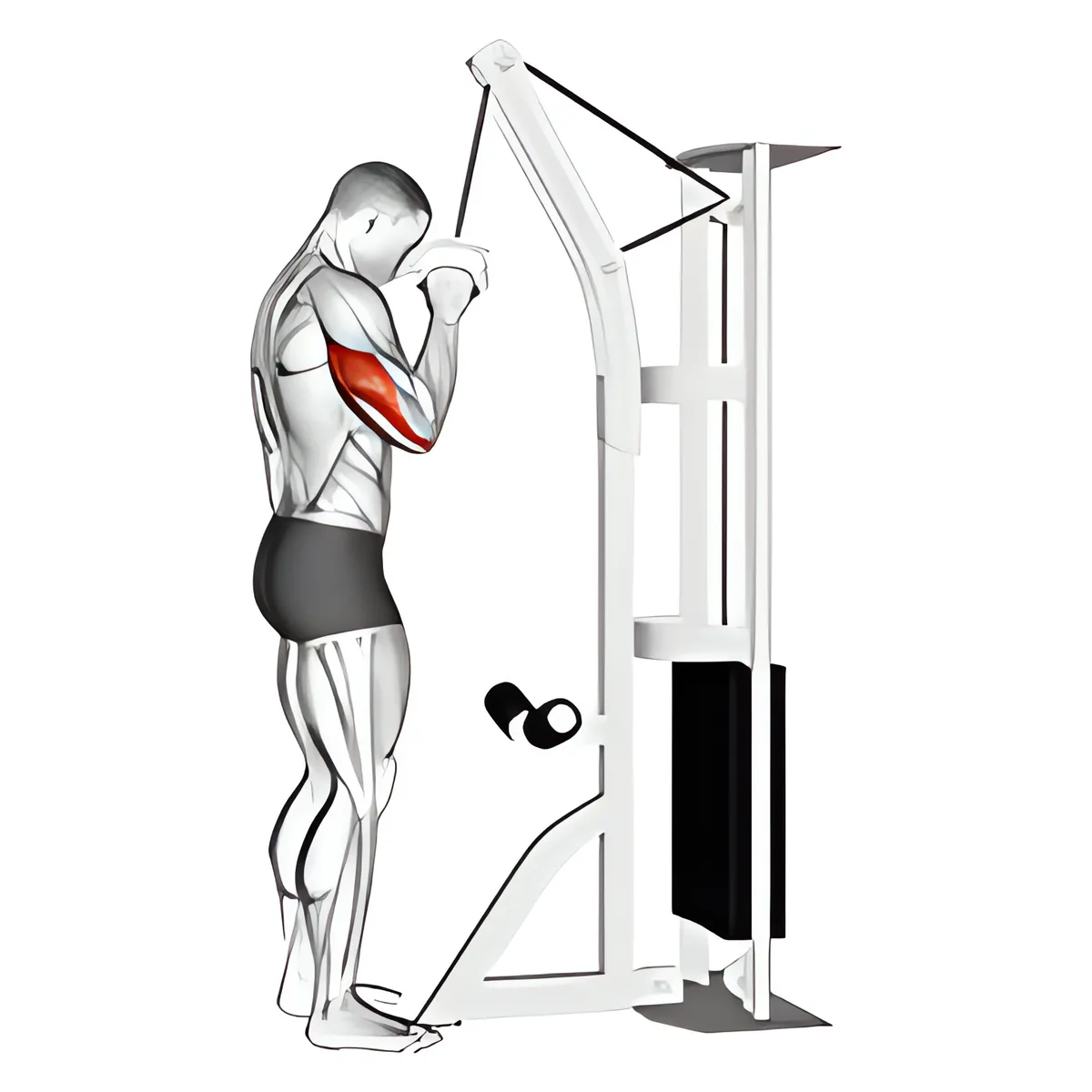 Cáp một tay tay sau đẩy cáp xuống