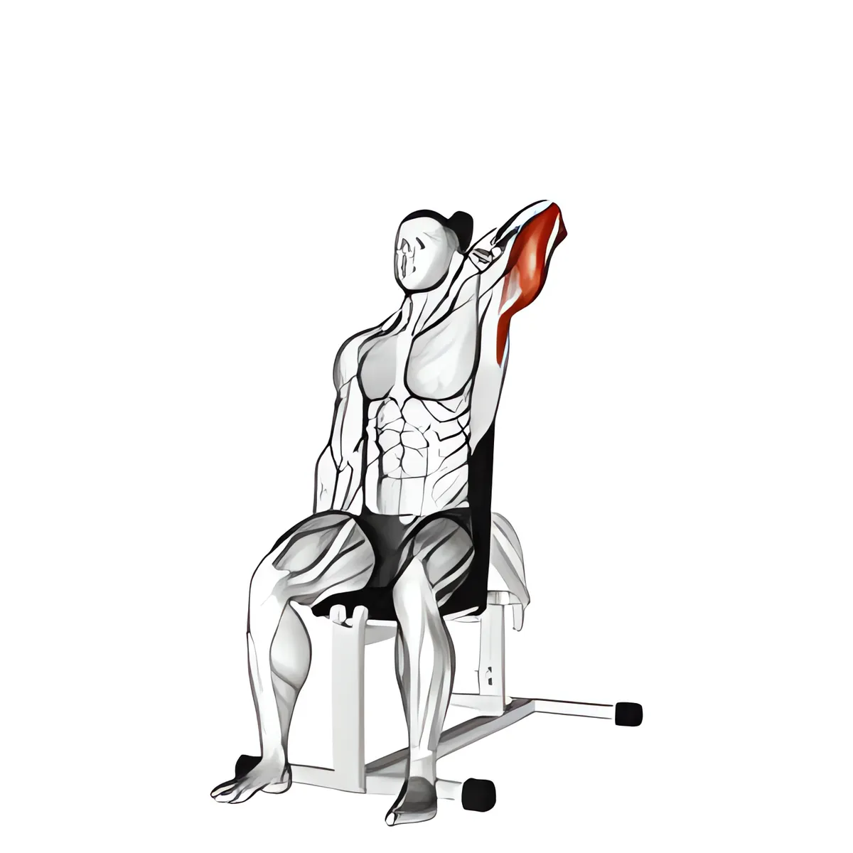 Tạ đơn ngồi ngược kiểu nắm một tay qua đầu tay sau duỗi