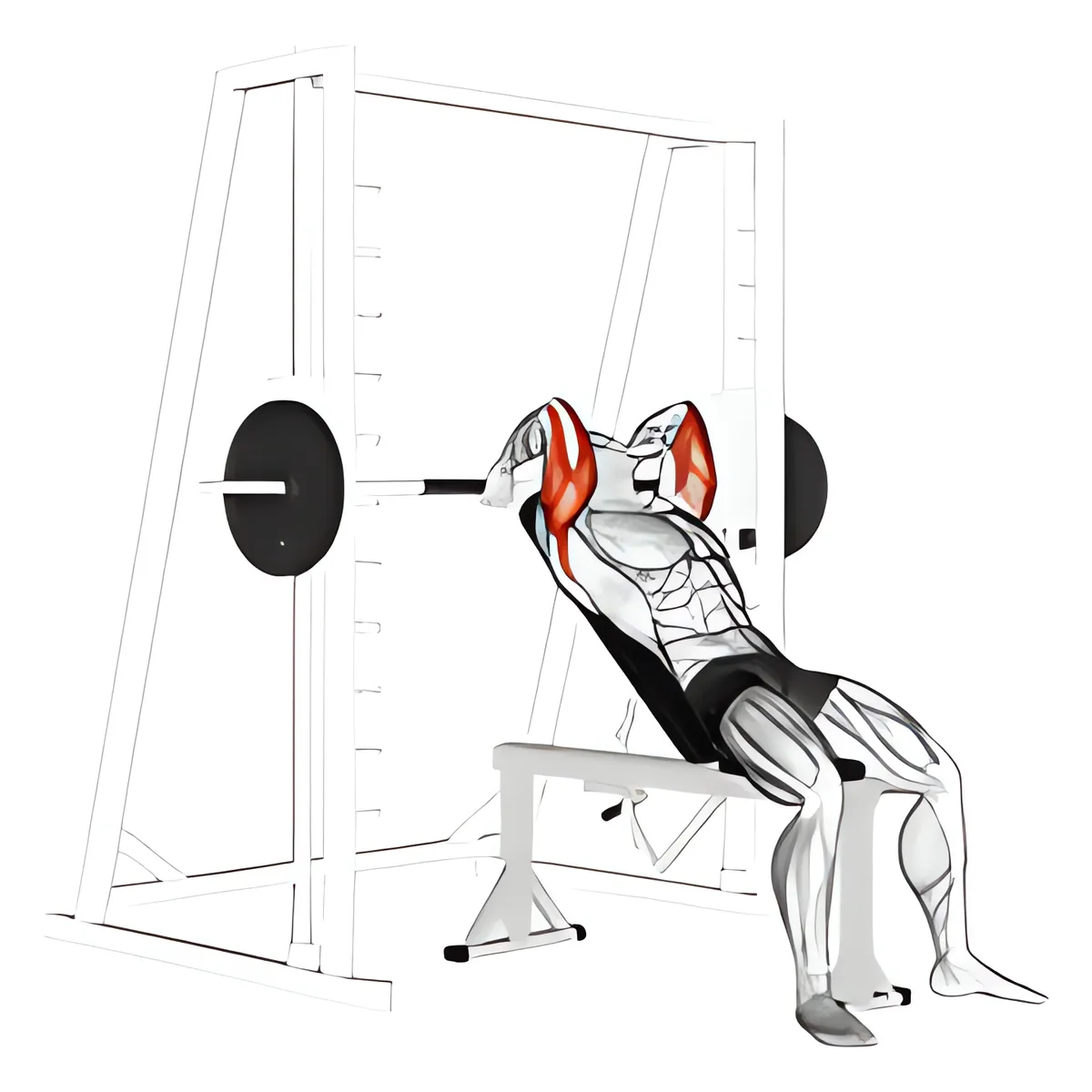 Máy Smith máy ghế dốc lên tay sau duỗi