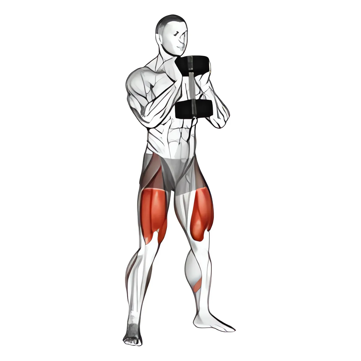 Tạ đơn goblet squat