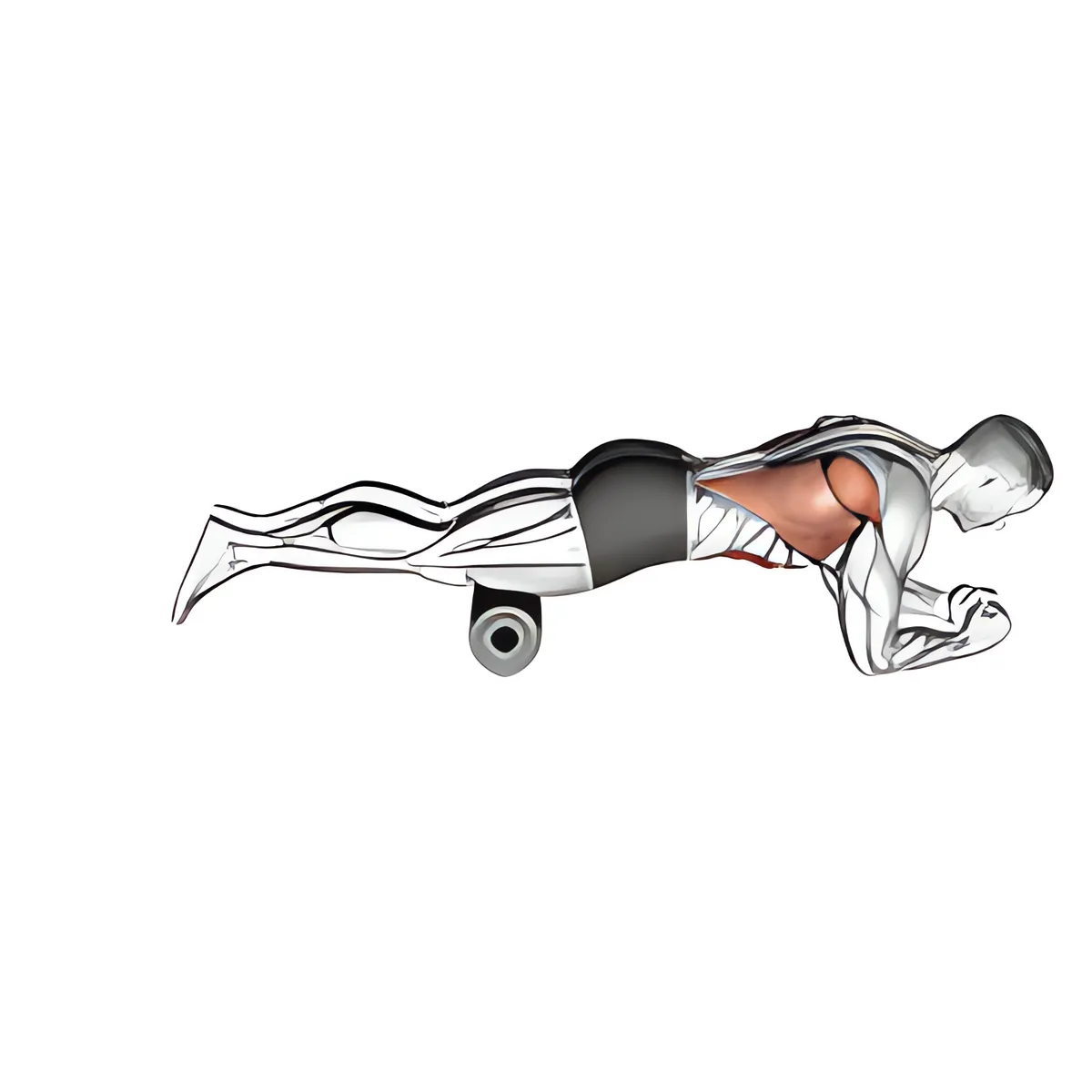 Plank trượt người với con lăn