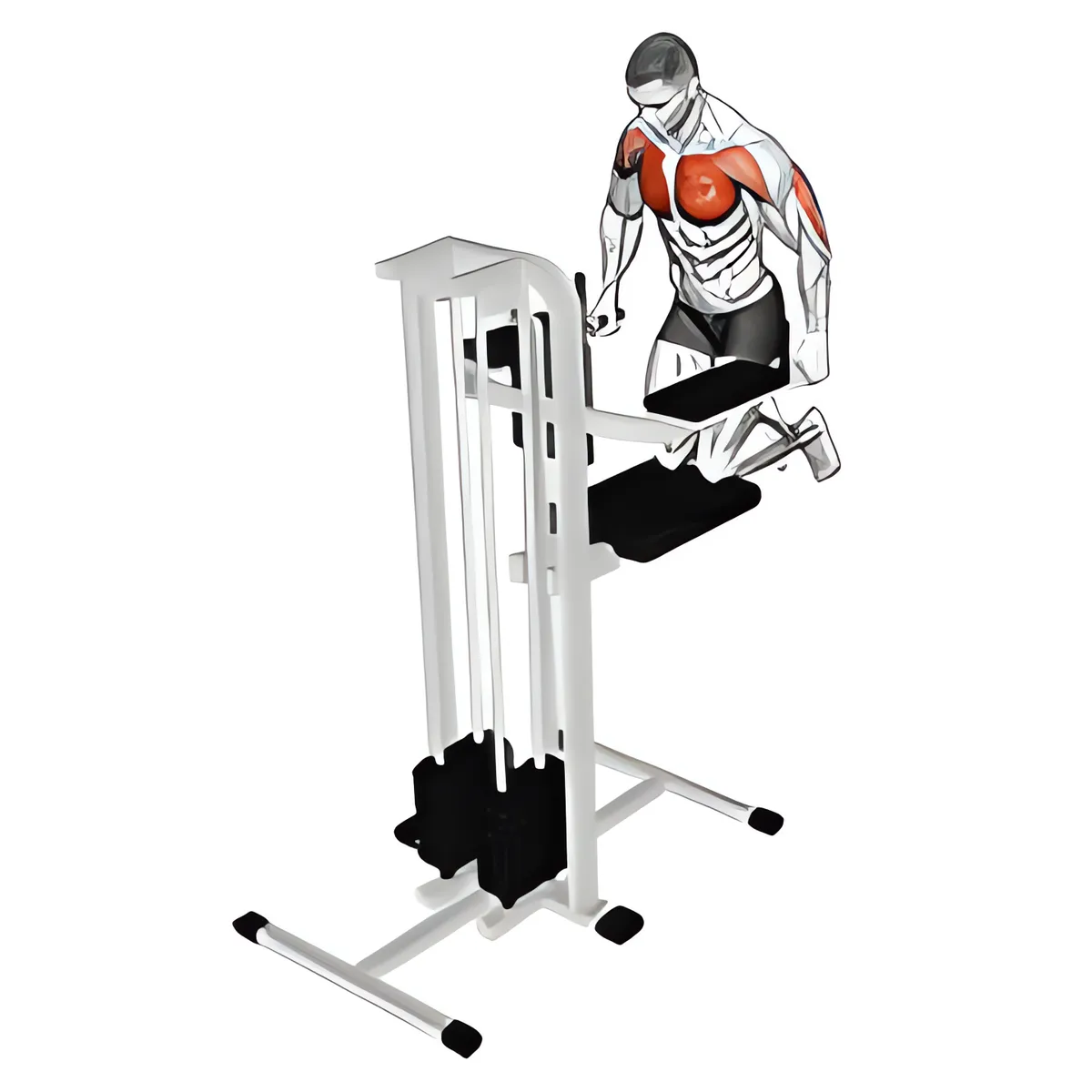 Có hỗ trợ tay rộng ngực nhúng người (quỳ)
