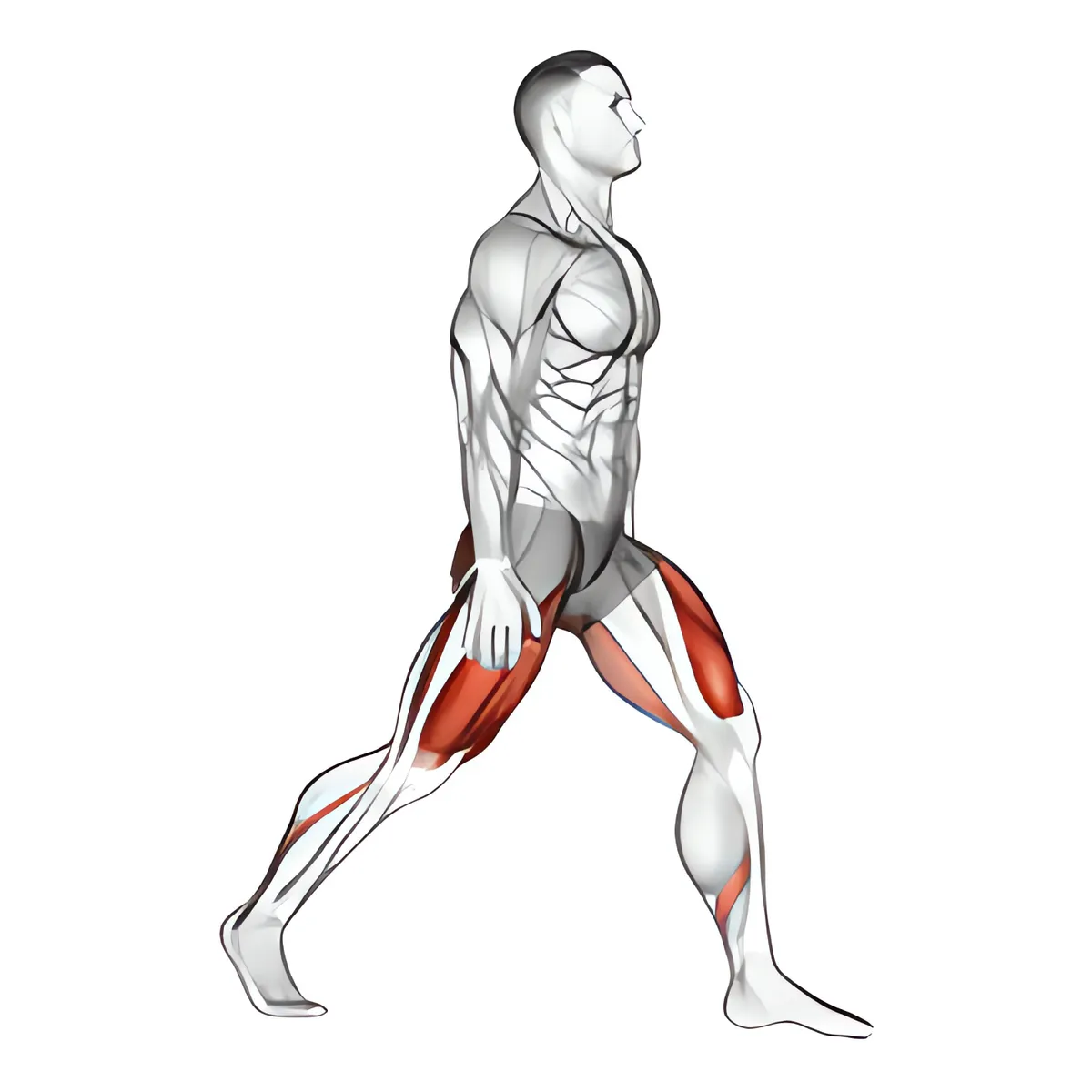 Split squat