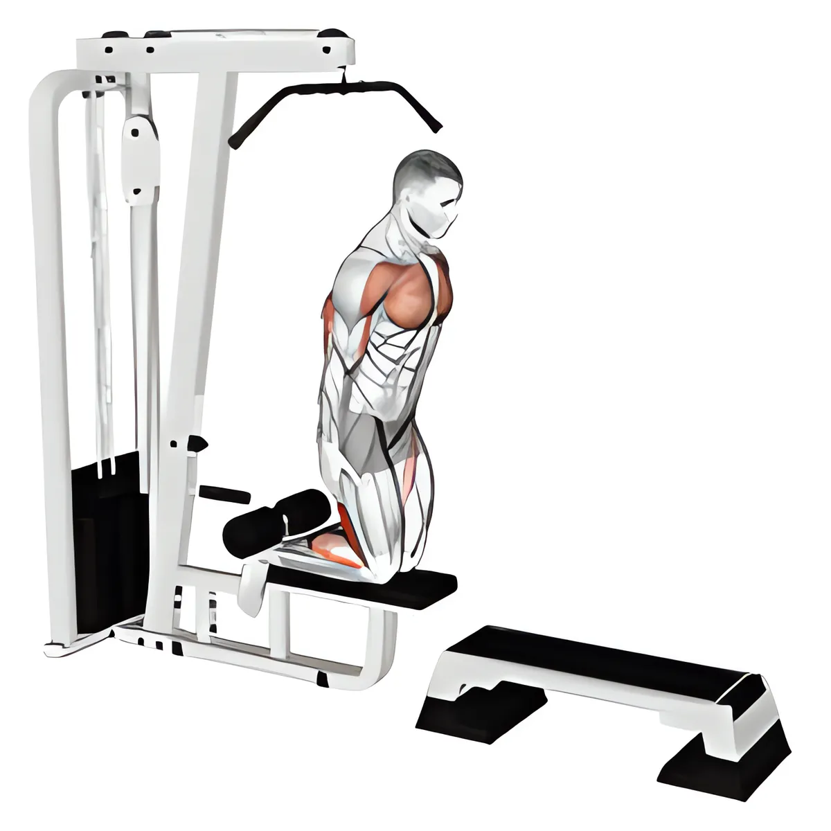 ngược gập gối (trên hít xà cáp máy)