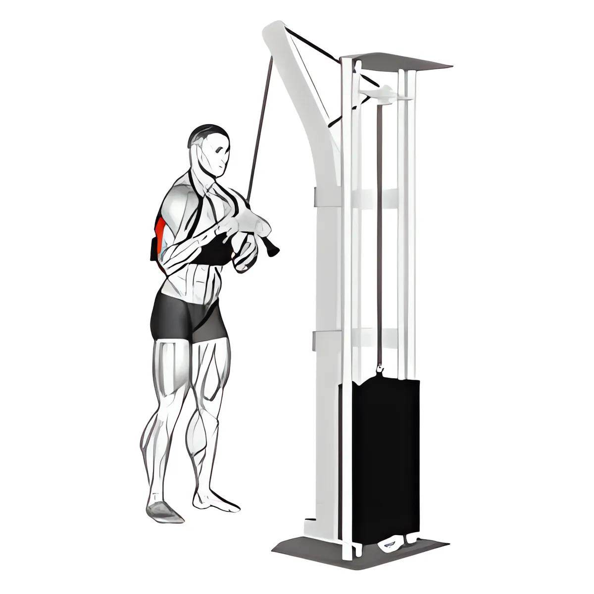 Đẩy cáp tay sau xuống với tay cầm chữ V và đai cố định cánh tay