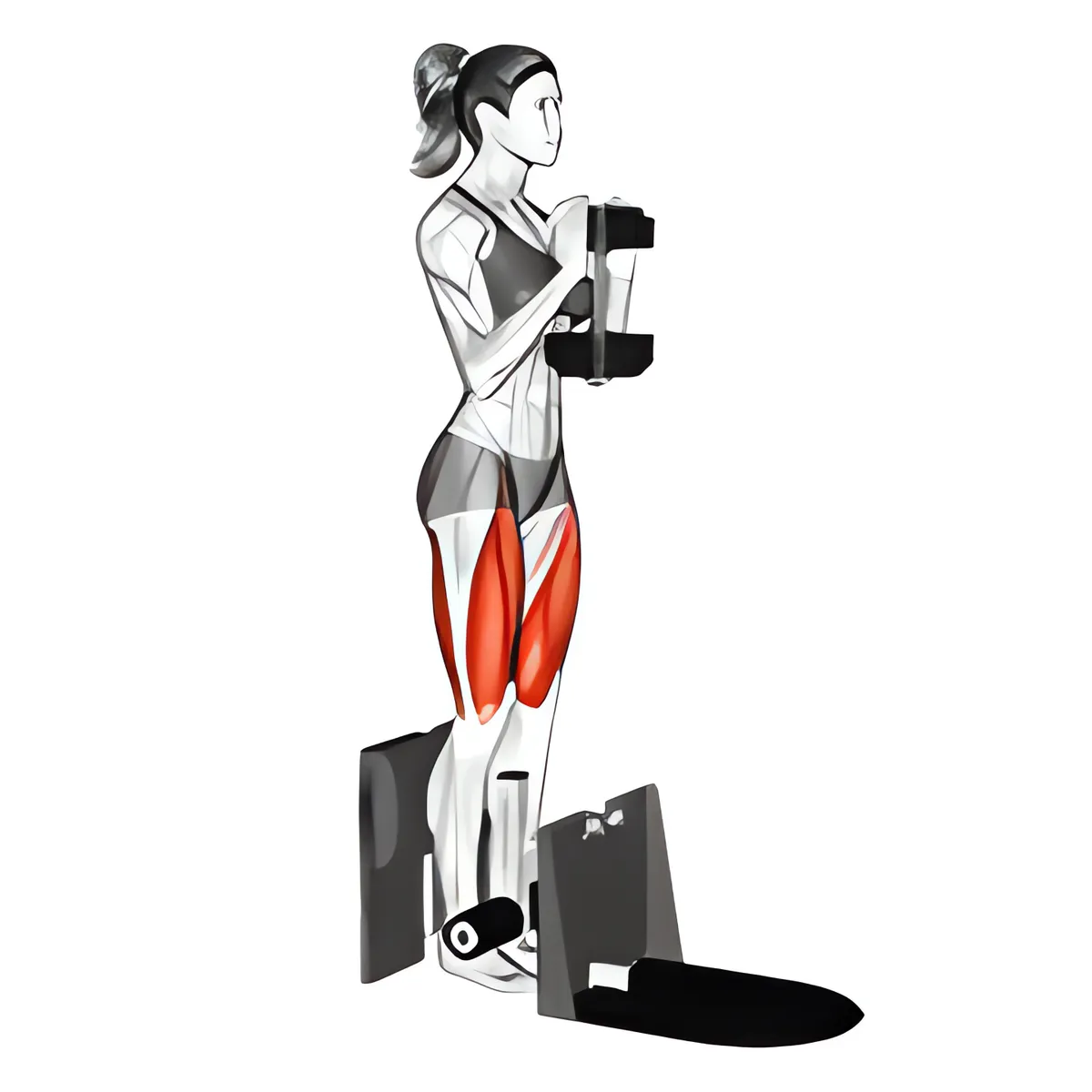 Squat có hỗ trợ với tạ đơn