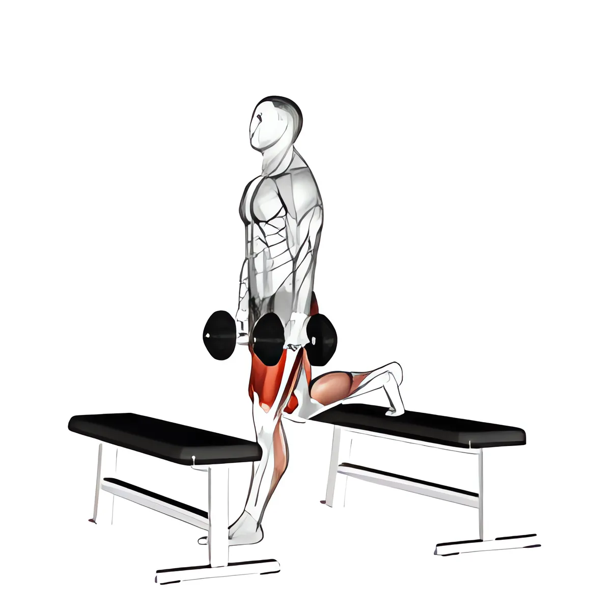 Tạ đơn bước lên bục squat tách chân