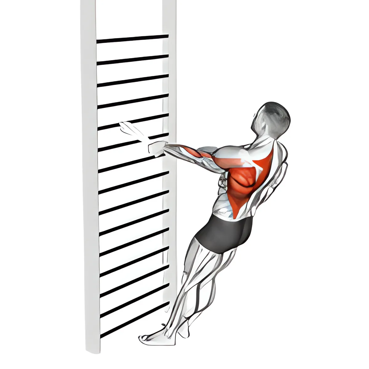 Trọng lượng cơ thể đứng một tay kéo (với khăn)