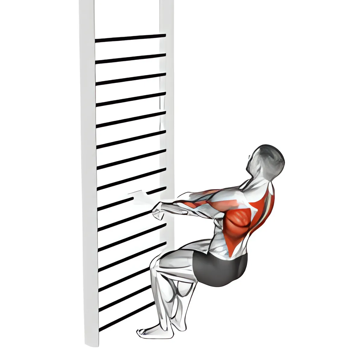Squat kết hợp kéo người bằng khăn