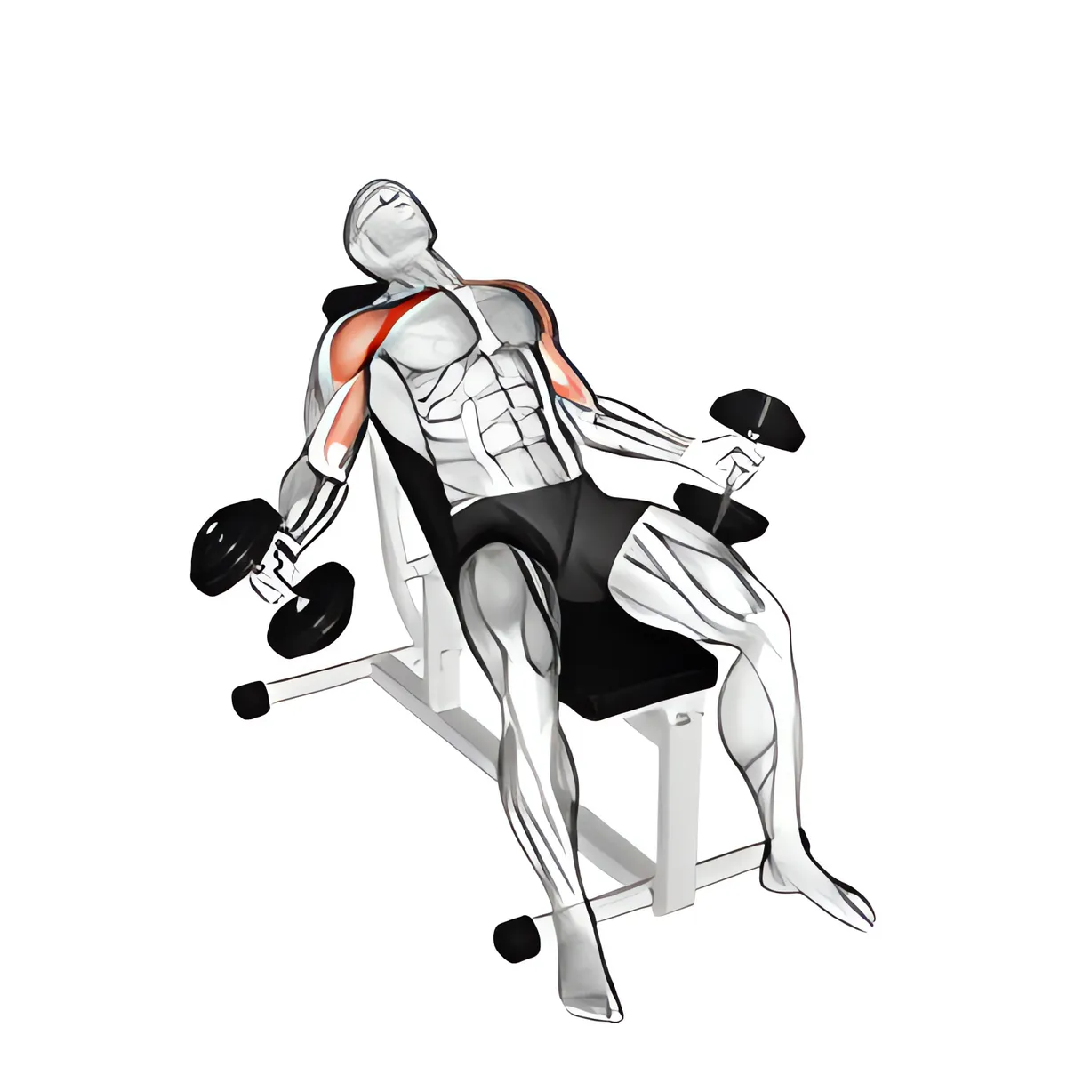Ép ngực với tạ đơn, biến thể 2