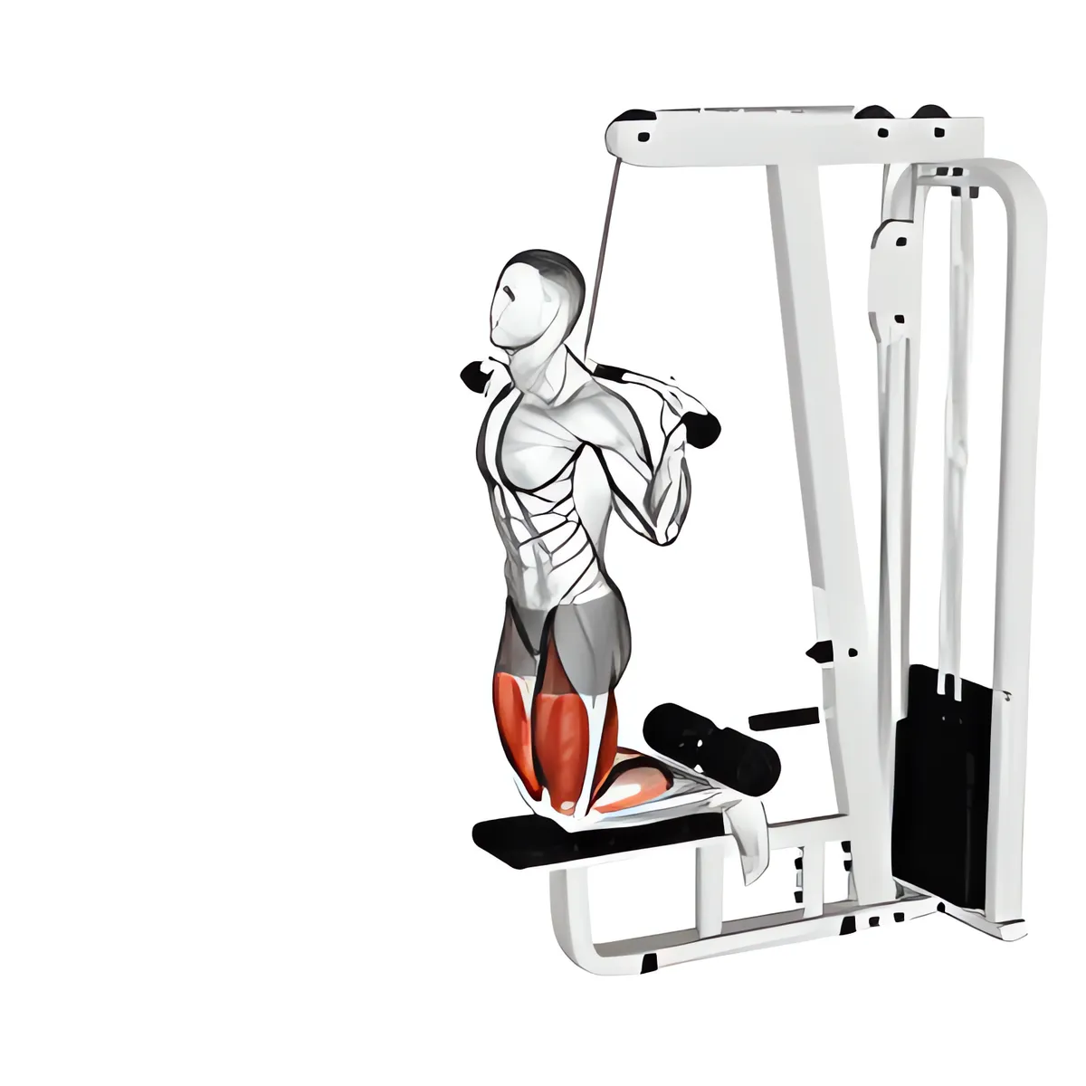 Cáp có hỗ trợ ngược gập gối