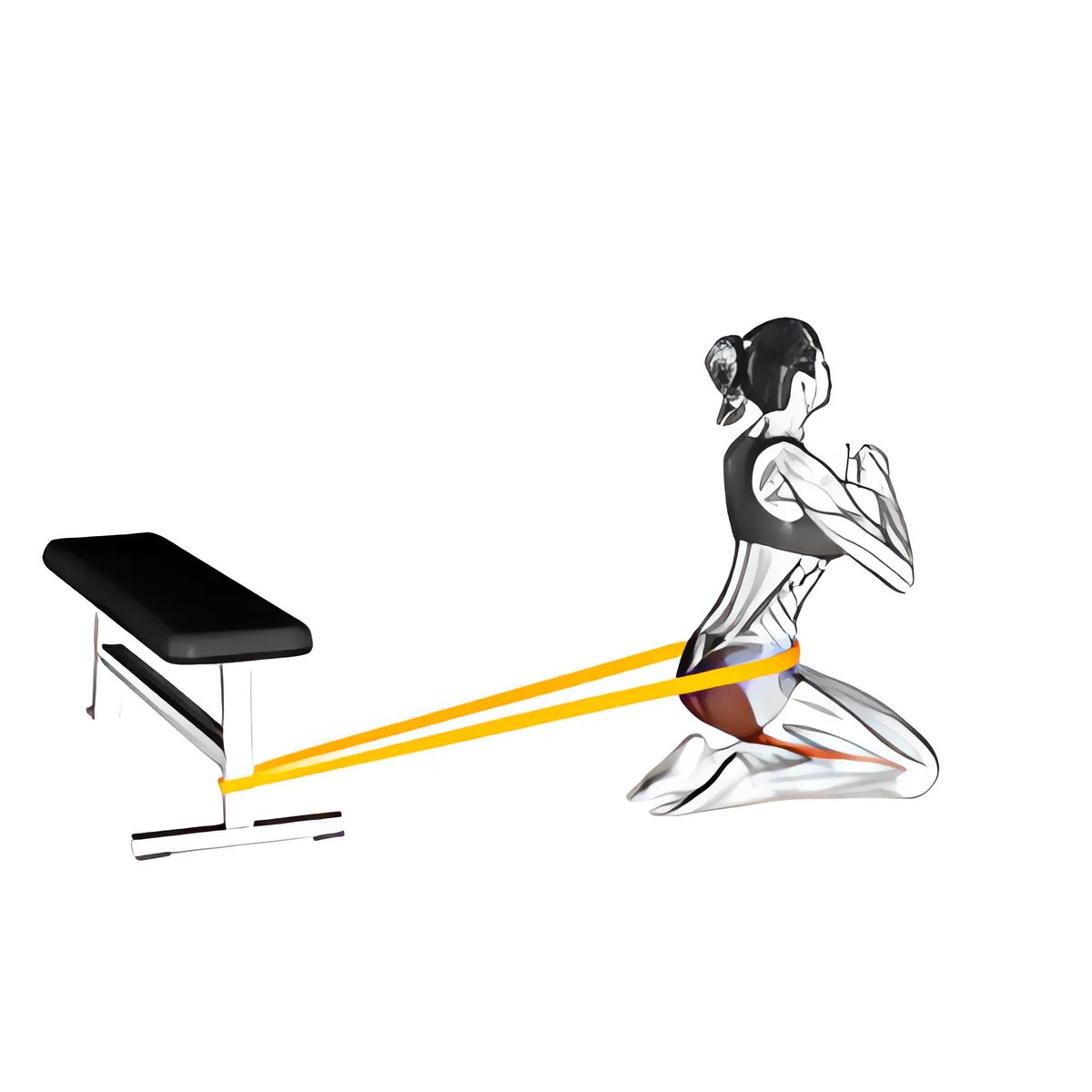 Đẩy hông quỳ gối với dây kháng lực, nữ