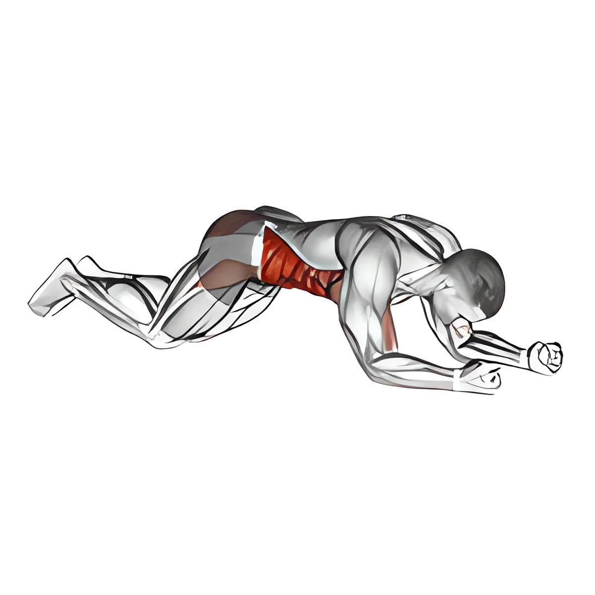 Quỳ plank chạm vai, nam