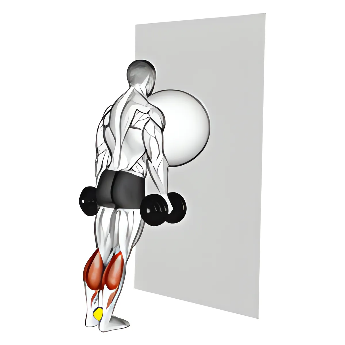 Nhón bắp chân với bóng tựa tường, kẹp bóng quần vợt giữa hai mắt cá