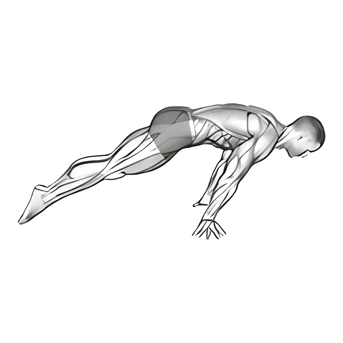 Planche nghiêng người