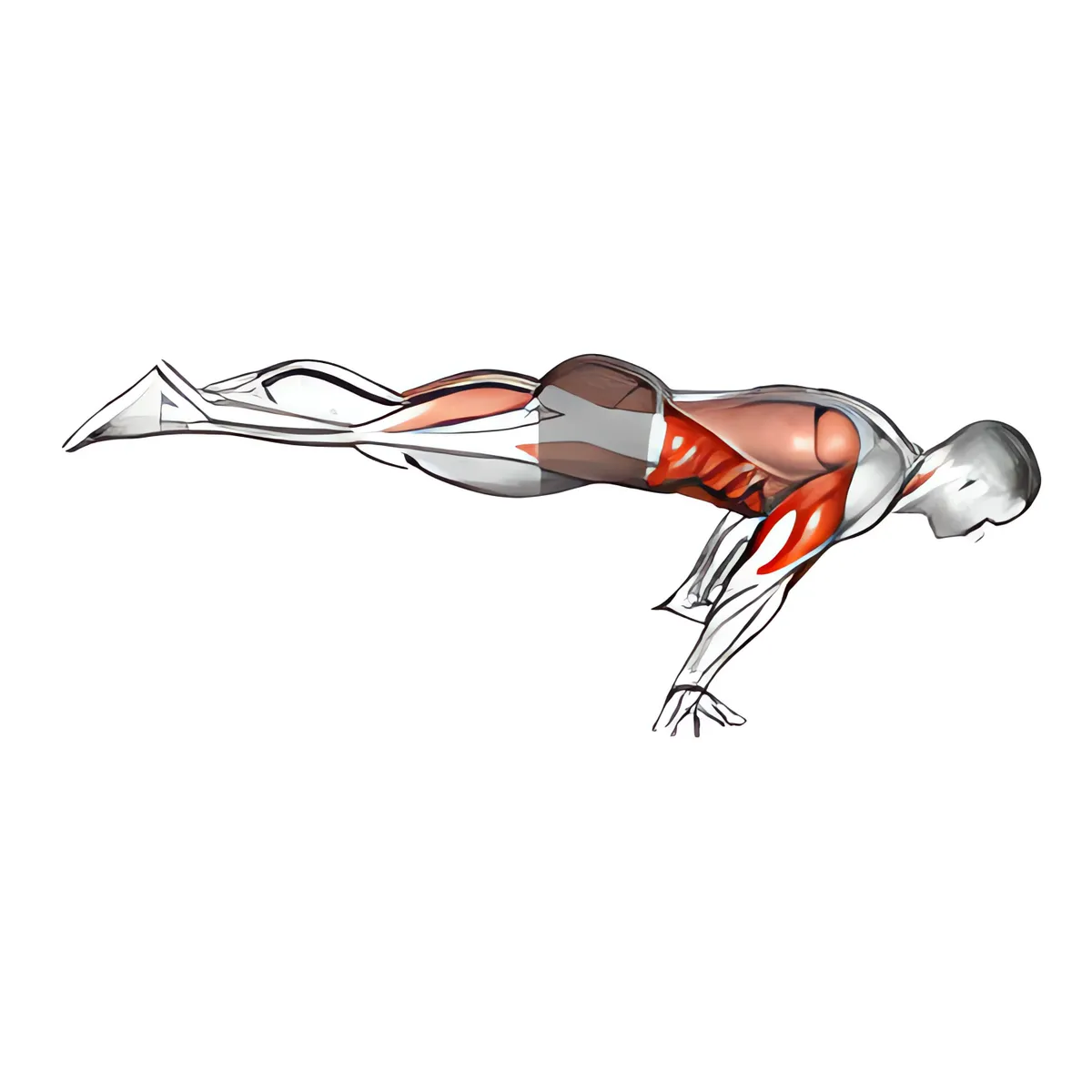 Chống đẩy planche toàn phần