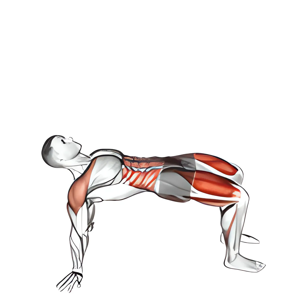 Ngược plank với chân nâng