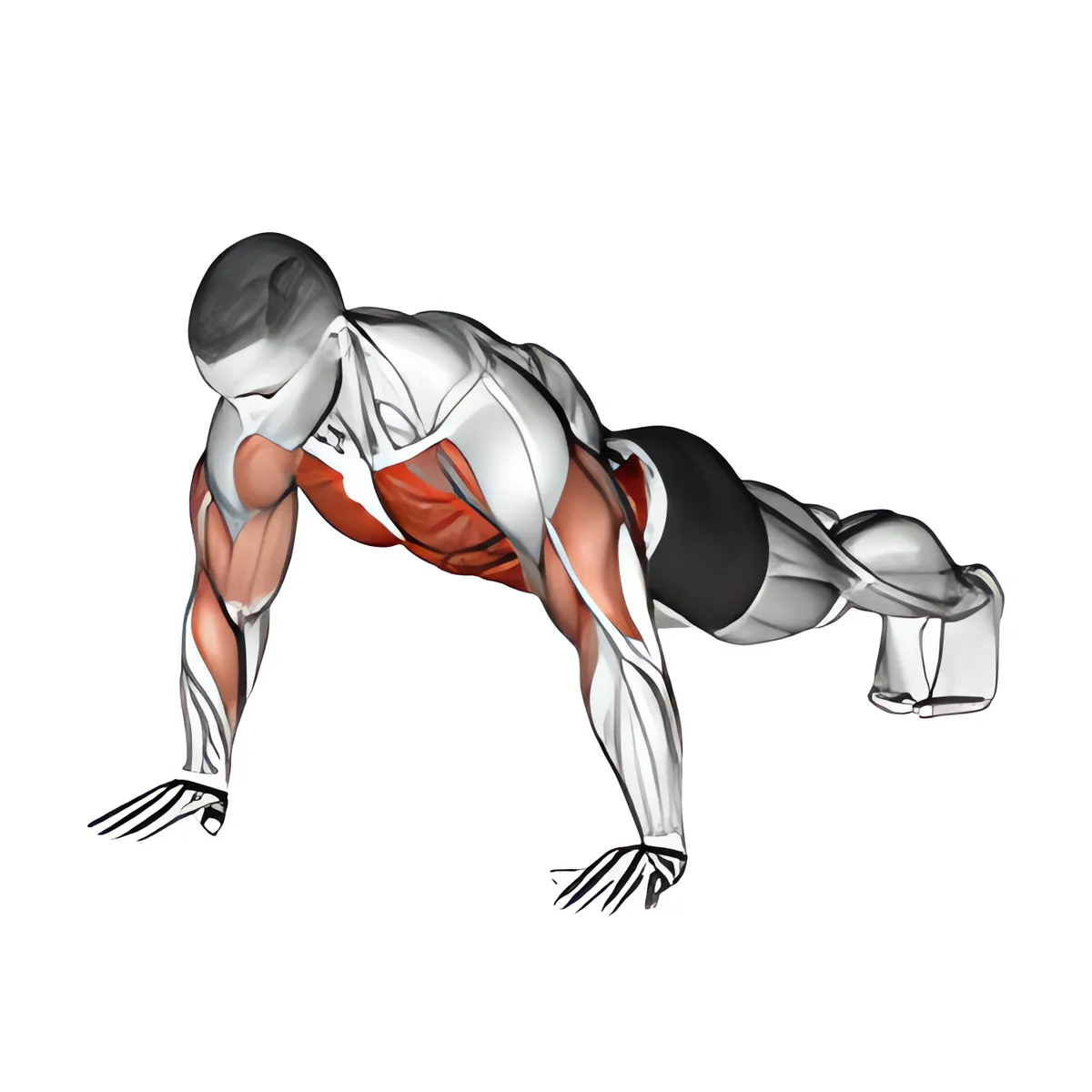 Plank chạm vai
